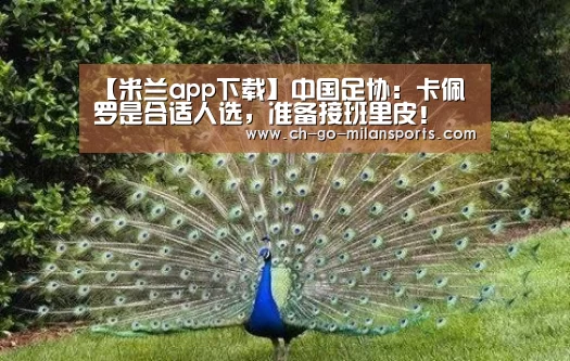 米兰电竞平台