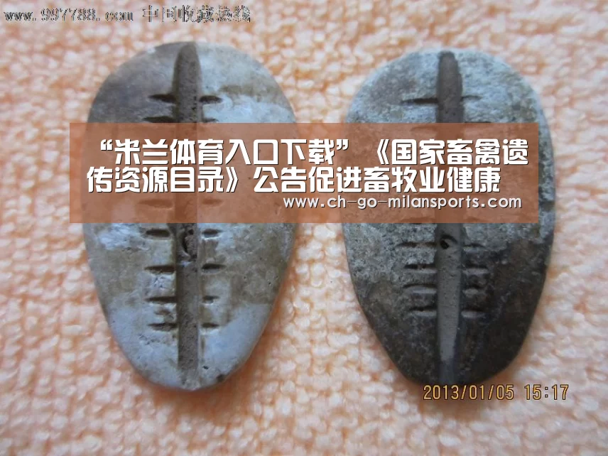 米兰app下载