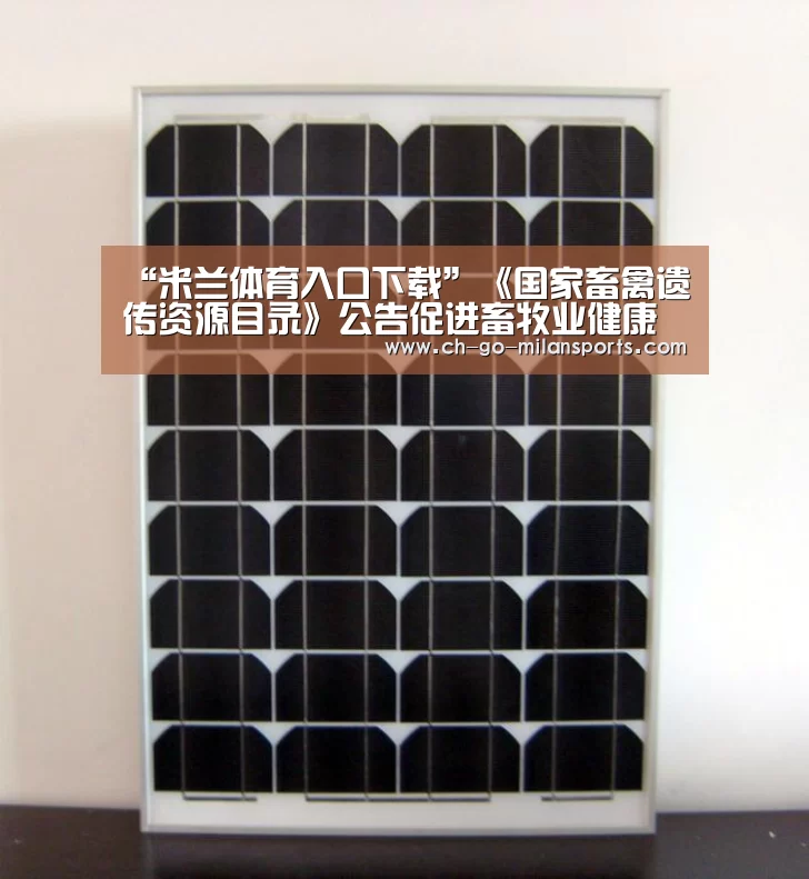 米兰体育app