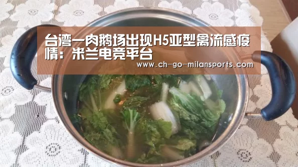米兰电竞平台